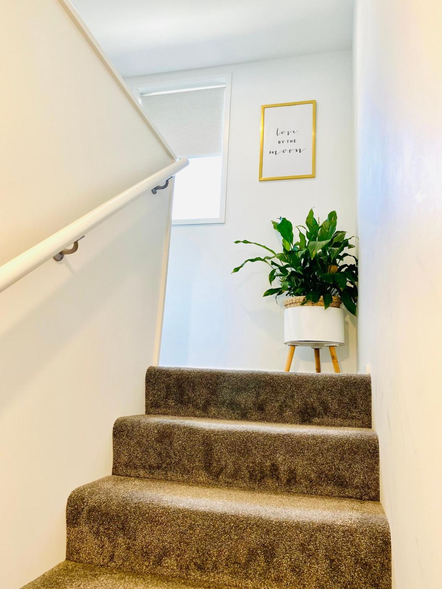 Perfect Modern Townhouse Cbd ไครสต์เชิร์ช ภายนอก รูปภาพ